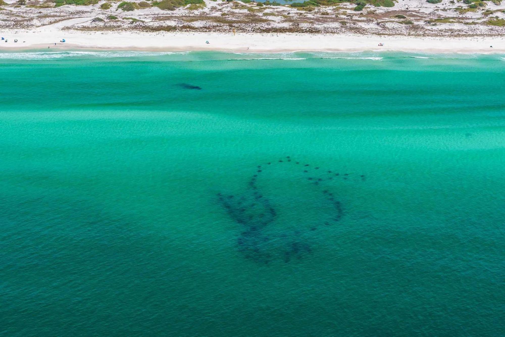 Apartmán Pilot House 506 Destin Exteriér fotografie